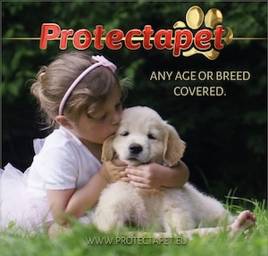 Little girl cuddling her golden retriever puppy advertising Protectapet cover any breed any age pet.